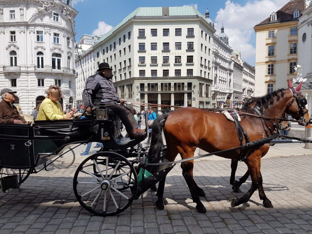 Traditional Horse-Drawn Carriage Ride (Fiaker Tour)