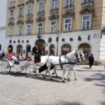 Traditional Horse-Drawn Carriage Ride (Fiaker Tour) - 1