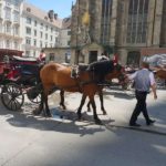 Traditional Horse-Drawn Carriage Ride (Fiaker Tour) - 4
