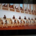 Spanish Riding School - 3