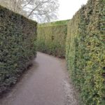 Schönbrunn – Maze & Labyrinth - 3