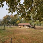 Magdalenenhof Children´s Farm - 2