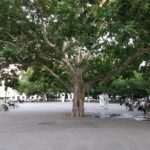 Mexikopark – Kirchenpark - 2