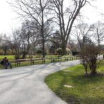 City Hall Park (Rathauspark) - 1