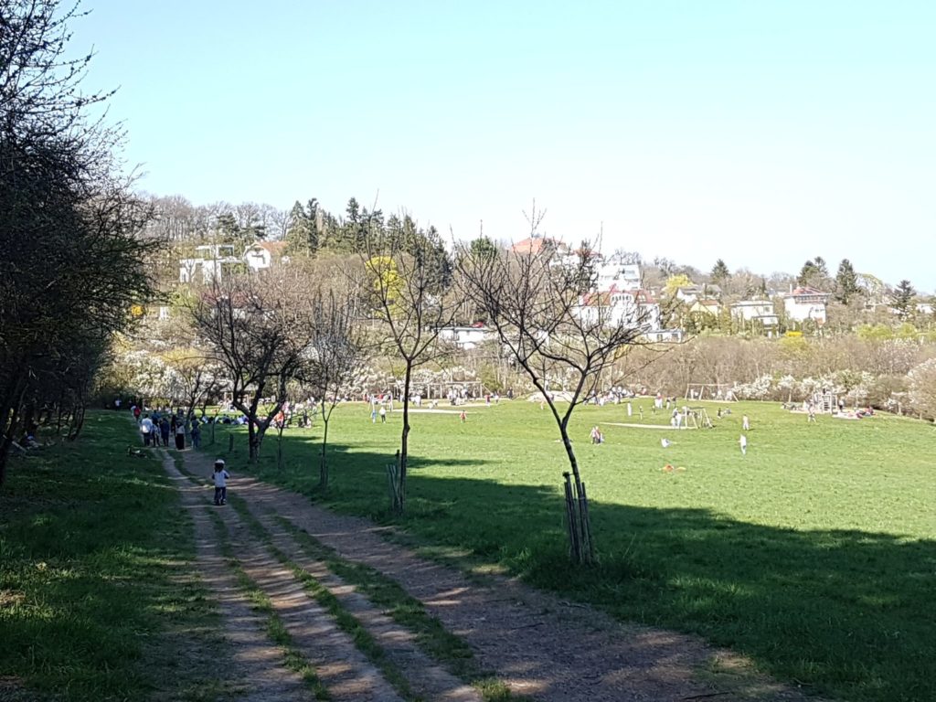 Steinhofgründe Forest Playground